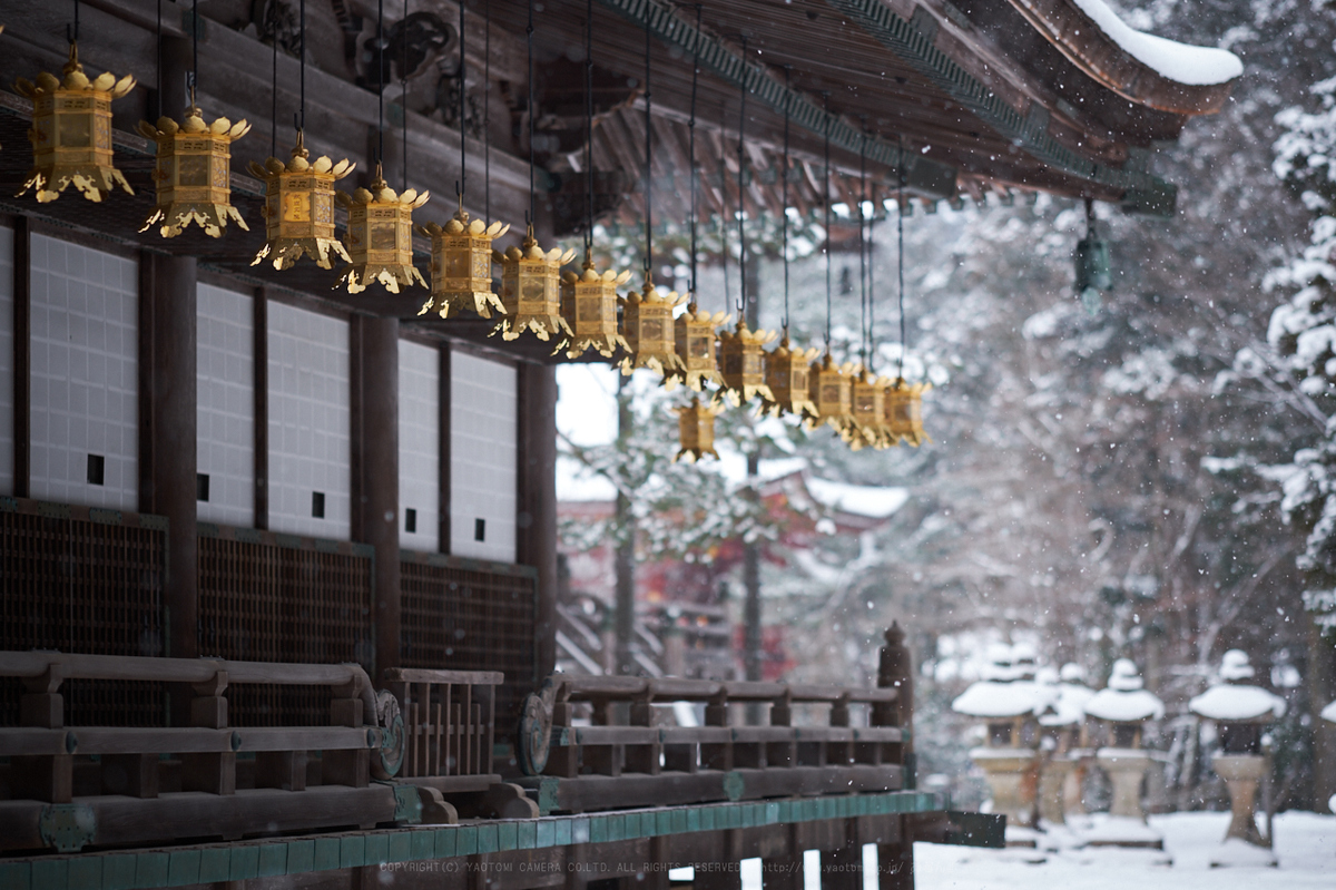 和歌山 高野山 金剛峯寺壇上伽藍の雪景 2018 ／ FUJIFILM X-T2 - お